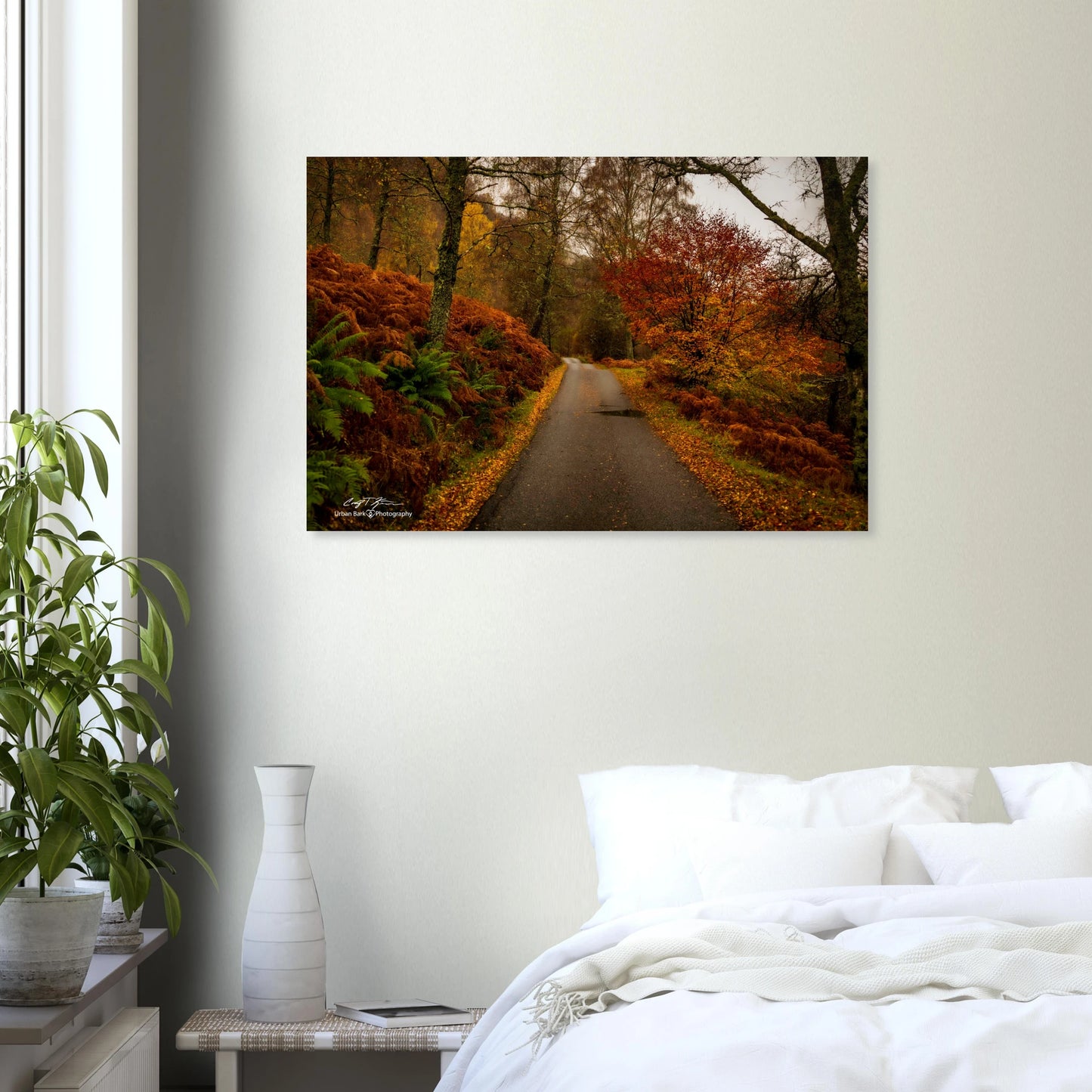 07b32fee-5e09-4ef8-af3c-fb9f7df5d67f