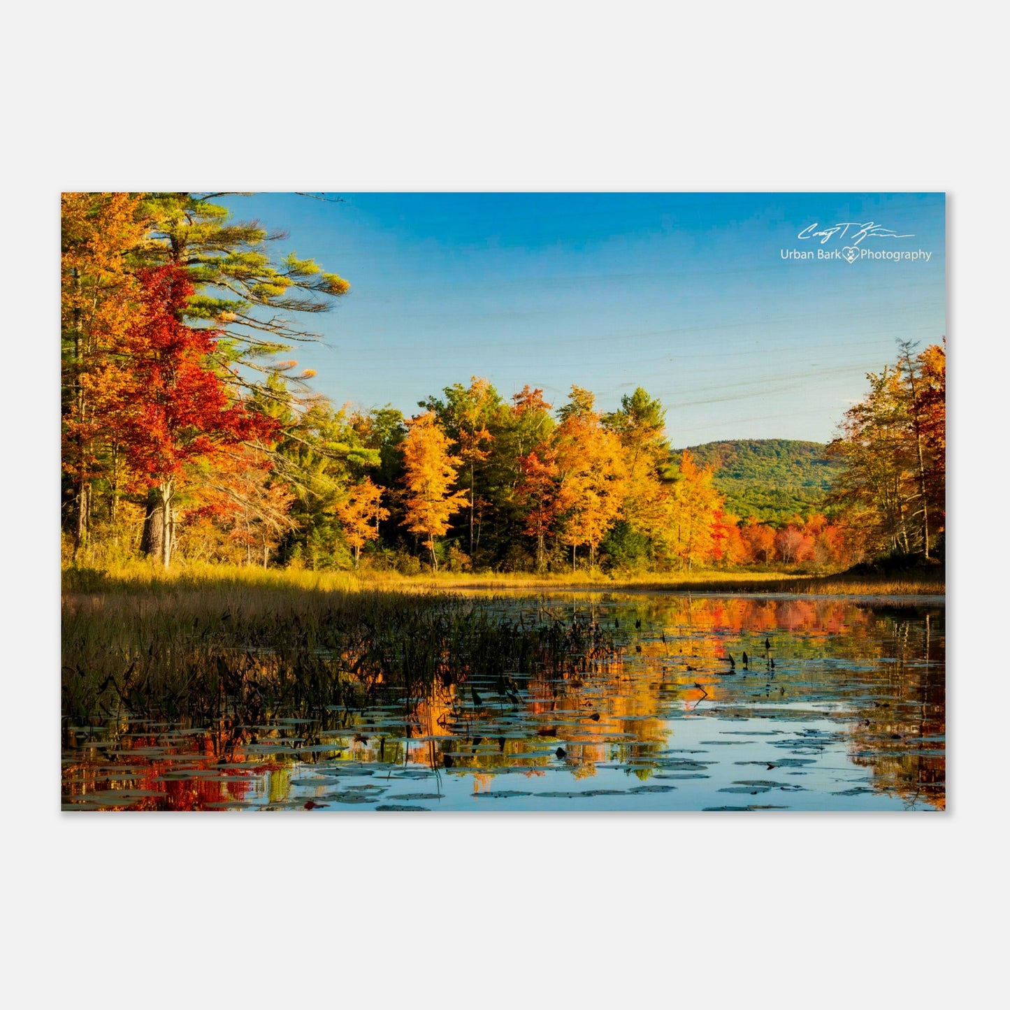 0e6370bc-c4b6-496a-93d1-7fe6ee6f65ed