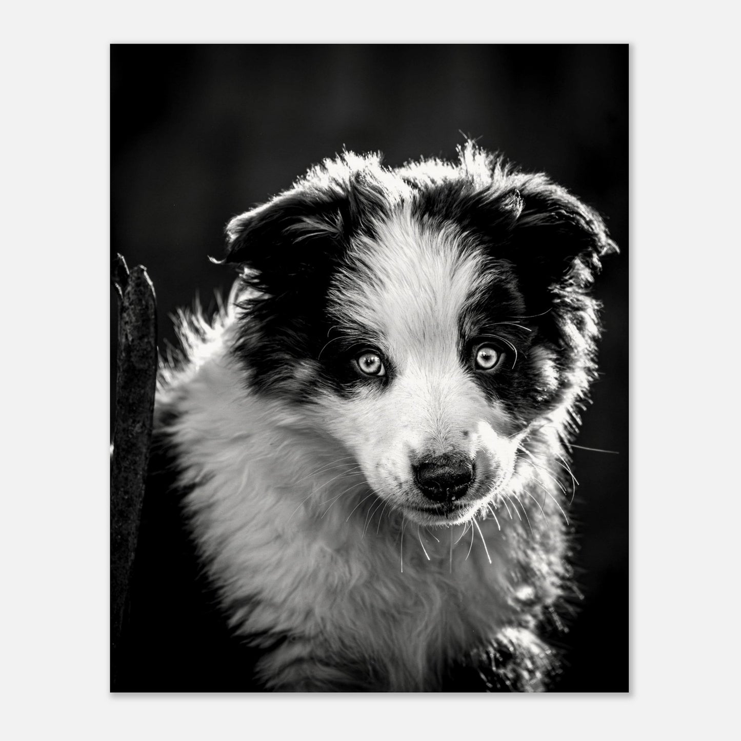 2498d807-0522-432d-bca6-4c9bad7900ac