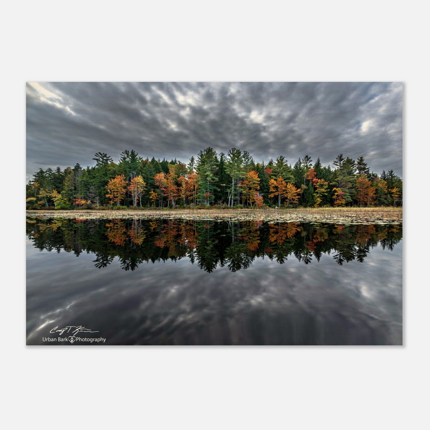 353fa0df-8774-4aeb-8180-70d18837f690