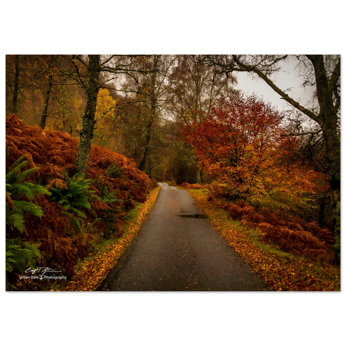 3aa81284-1e86-4047-a86b-0aa062d8d258