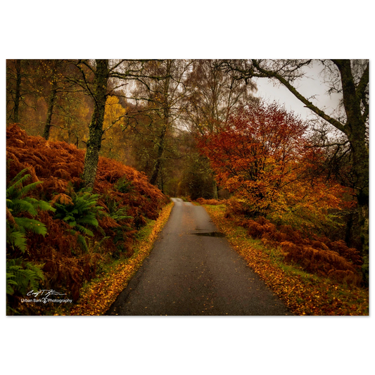 3aa81284-1e86-4047-a86b-0aa062d8d258