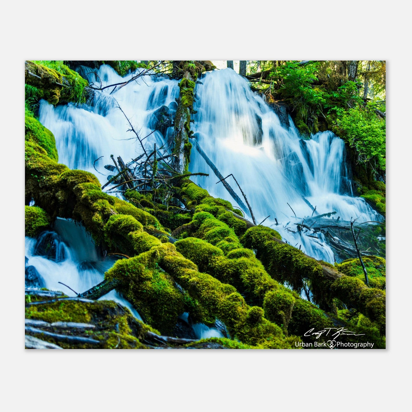 41e6919b-5a2c-4fac-b048-88371dcfd3d6