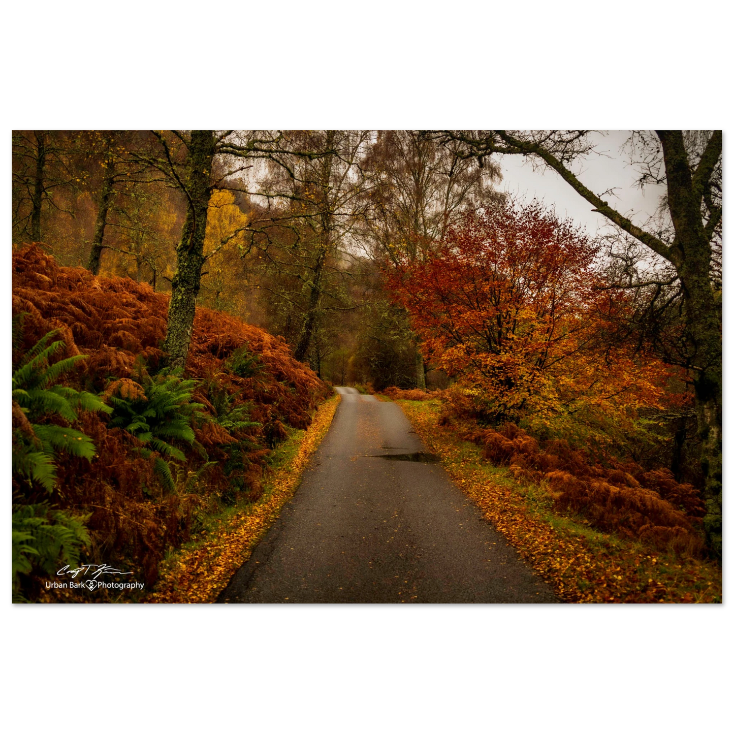 48ccb53c-79c8-43e5-821b-668660a1dd19