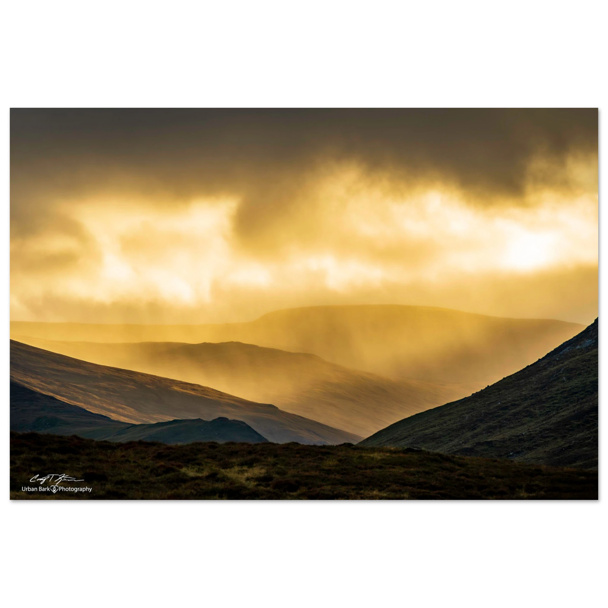 4eda5e3d-2c83-49ba-86bc-11f1f4a9529f