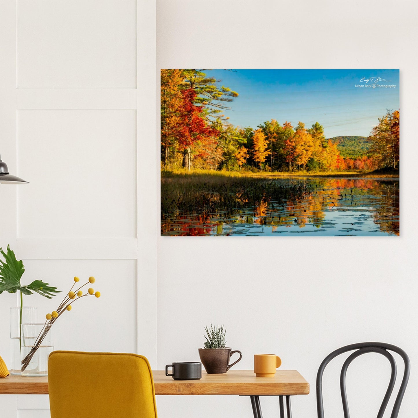 546ff335-6cb3-4ef2-abcd-0ab62afd59a2