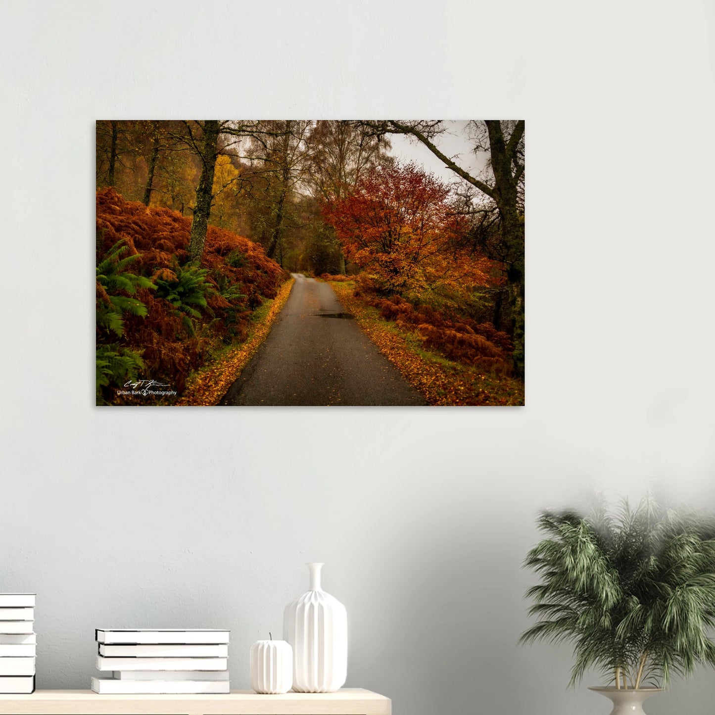 5bcae044-6856-49c7-b07a-bbd51c66c737