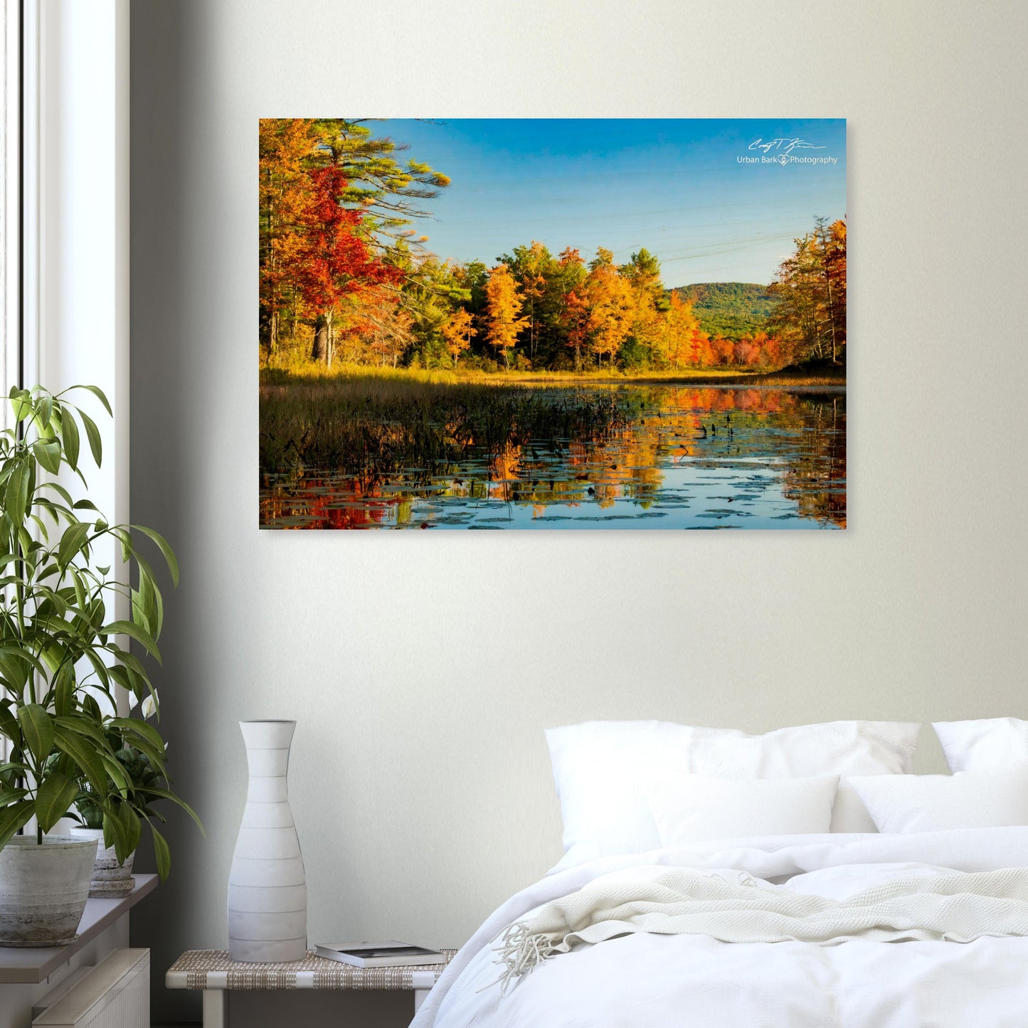 5f632532-50ad-44c5-9756-5ecf5e1086c6