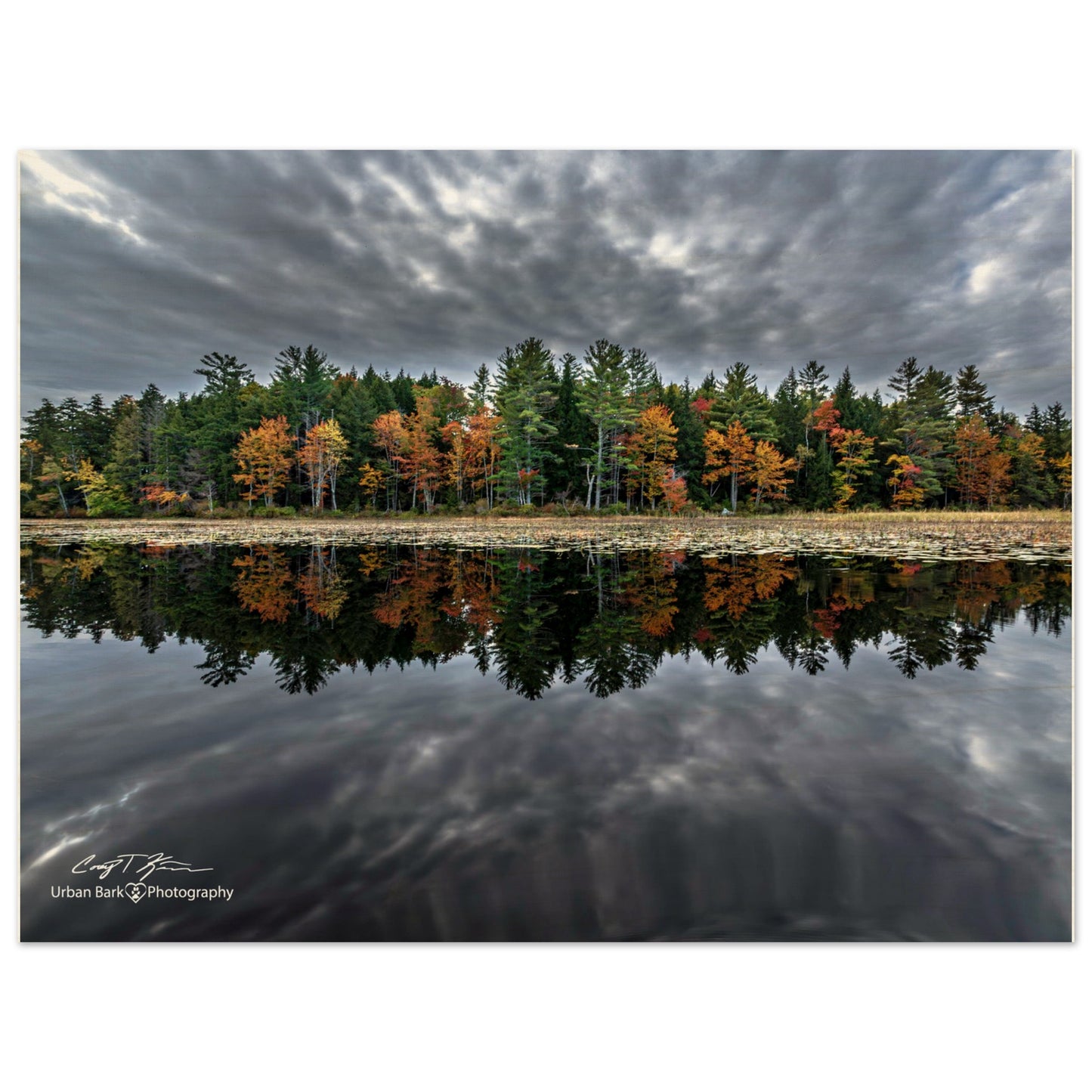 6dab46c6-fa75-4215-b2f2-a515d6d2268d