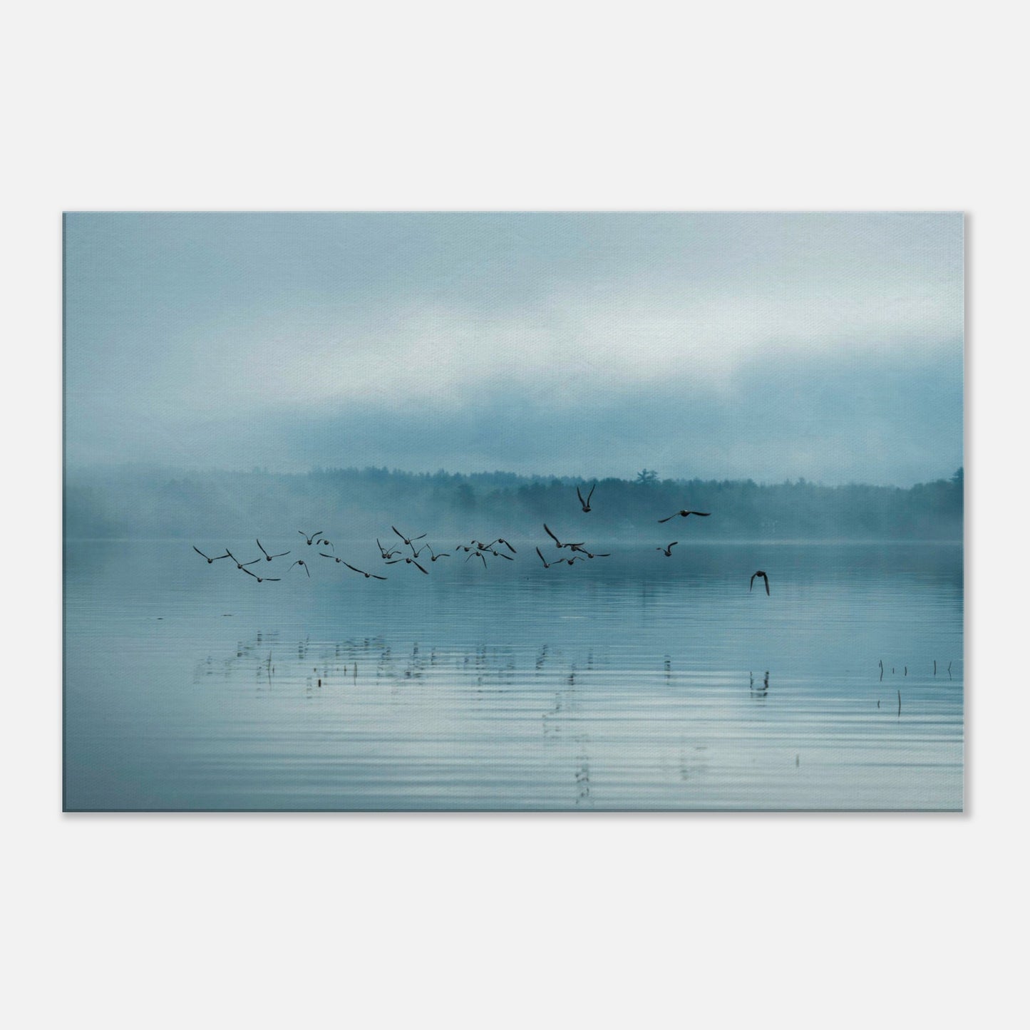 6f6965b1-9145-408d-844c-70c8f2403060