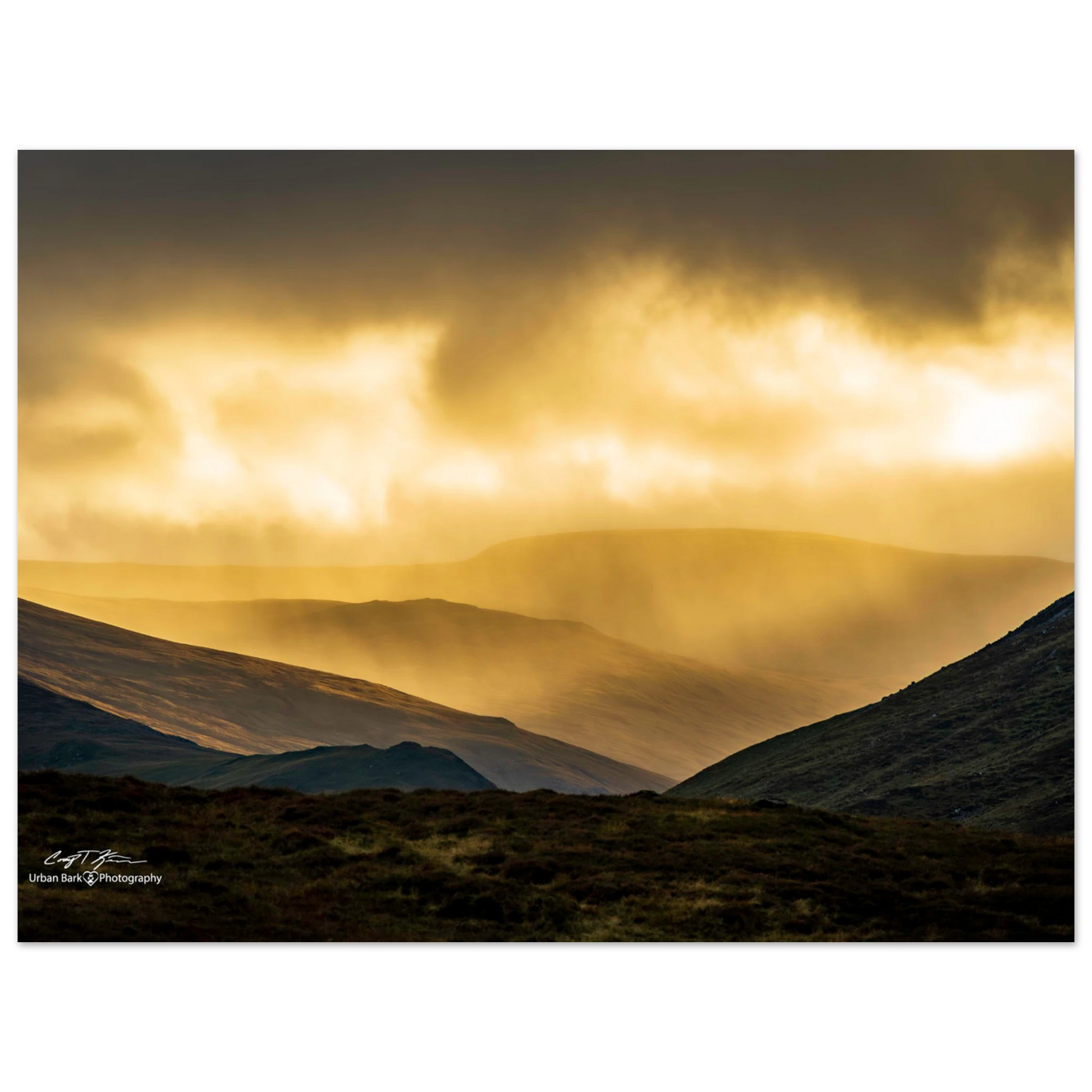 6f7f38a8-3b63-4578-8ac1-51468462b260