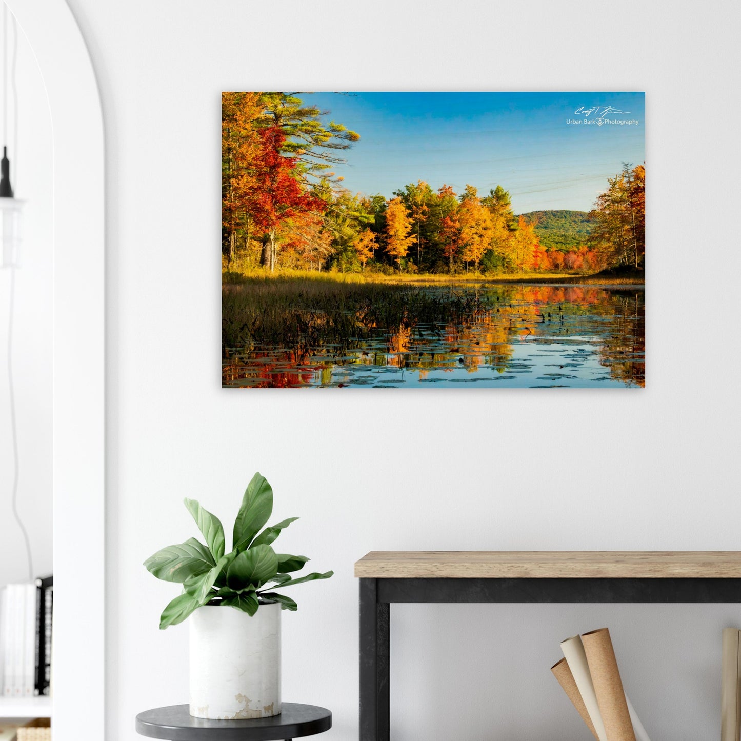 7ba98d61-9995-4d55-ae82-4c50e216b067