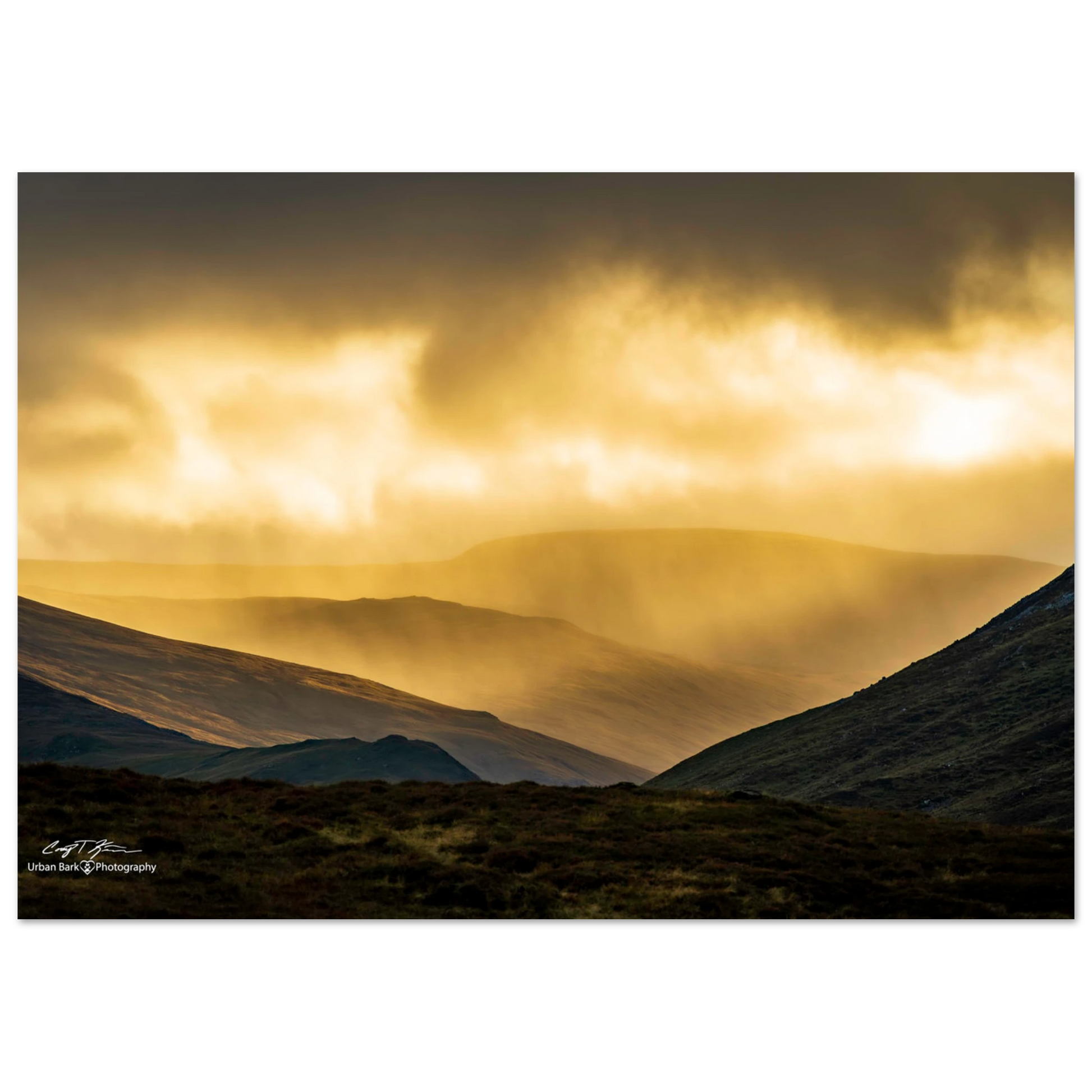 8e1157d9-5ebb-4c2b-9604-9e93b6aebb4e