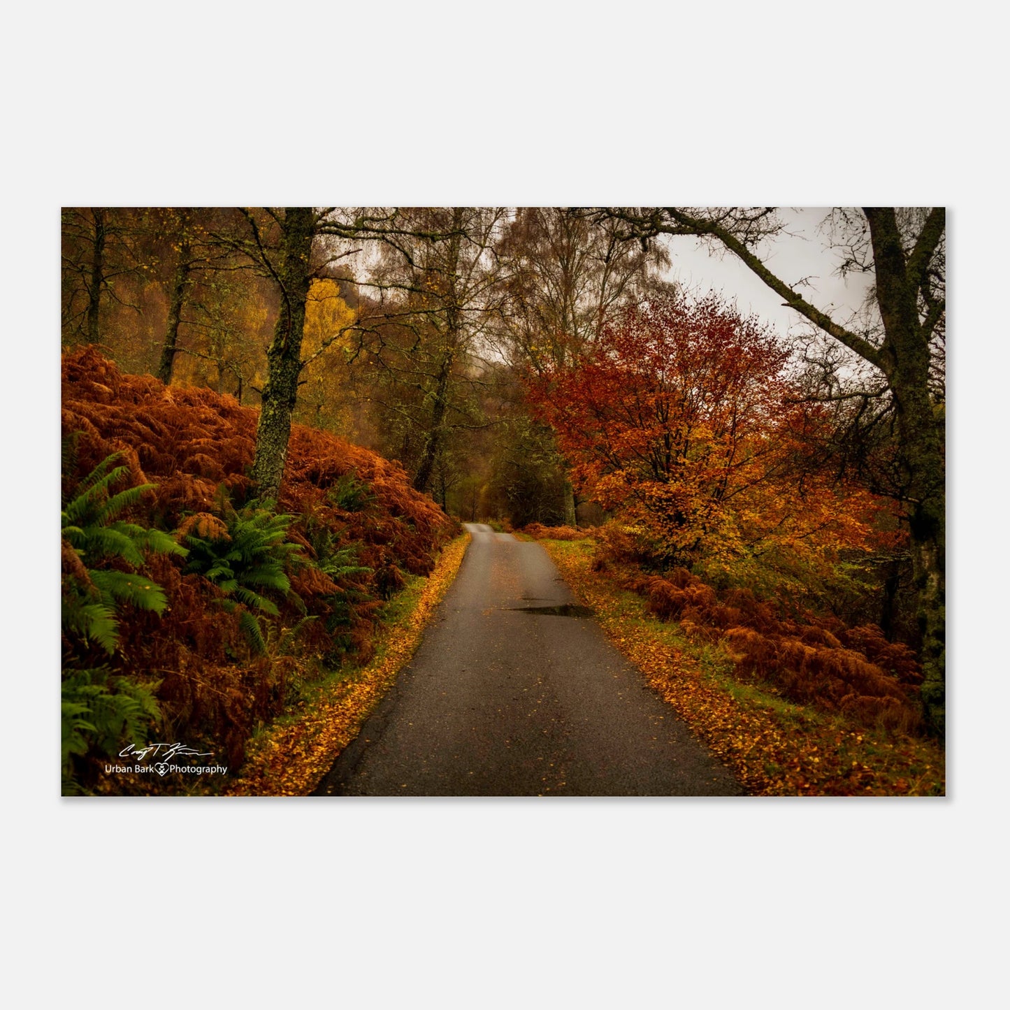 9beb6232-eb7d-40af-8fea-73b481f6d888