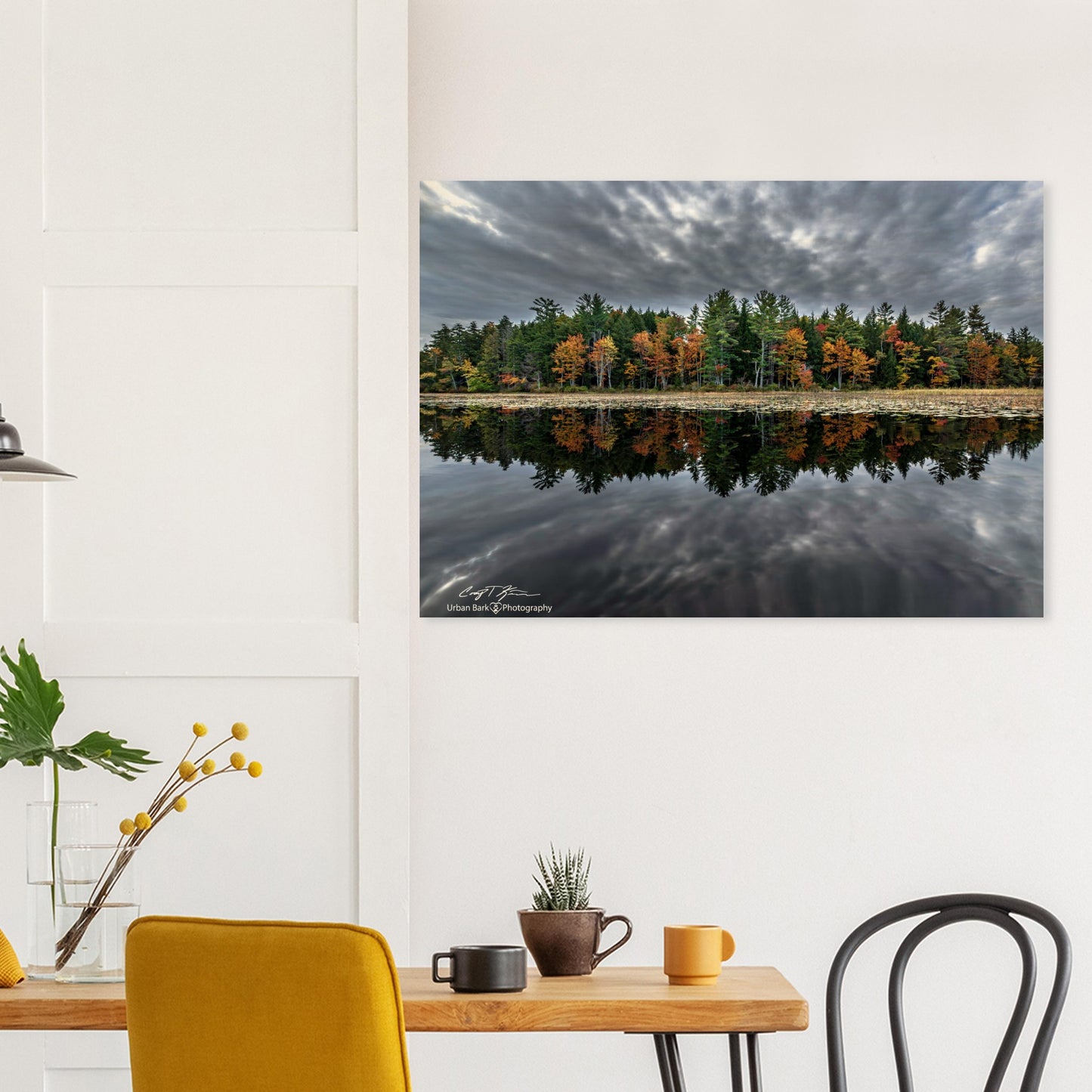 ad18e6b5-580b-4823-8ba0-5e962b6a3e4a