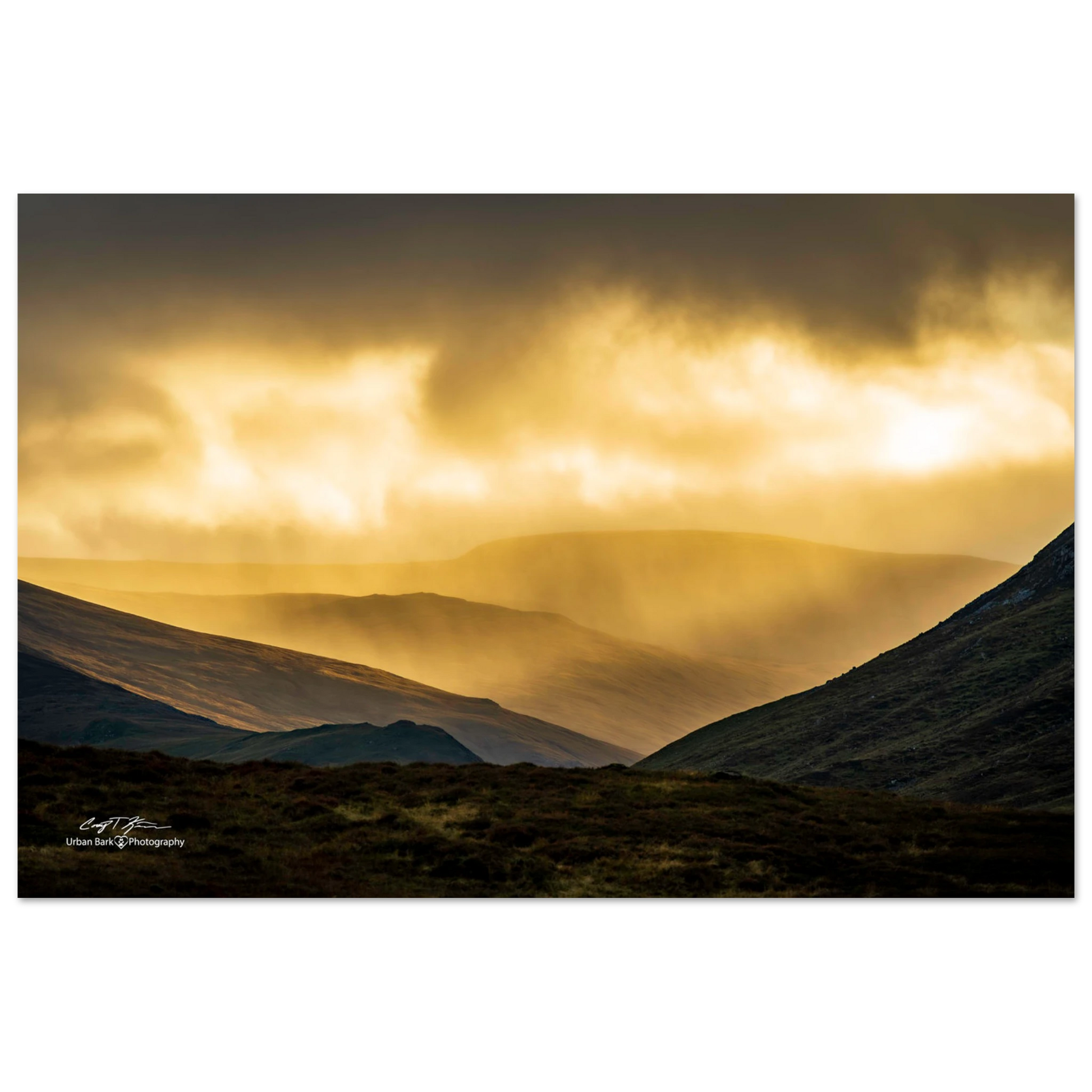 aef416d4-aabb-4d9e-ae6f-528b959801f5