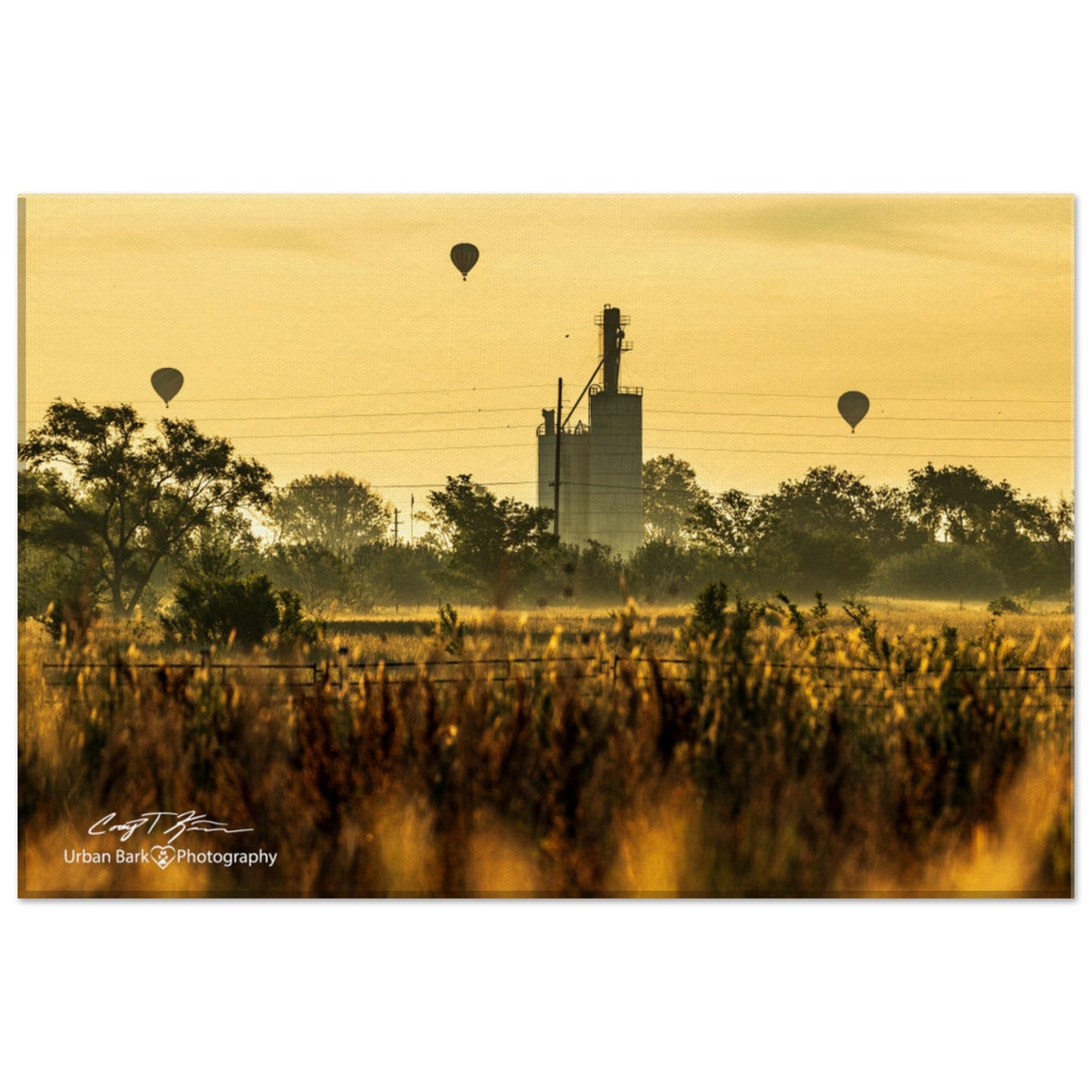 Balloon Rides at Sunrise-Canvas