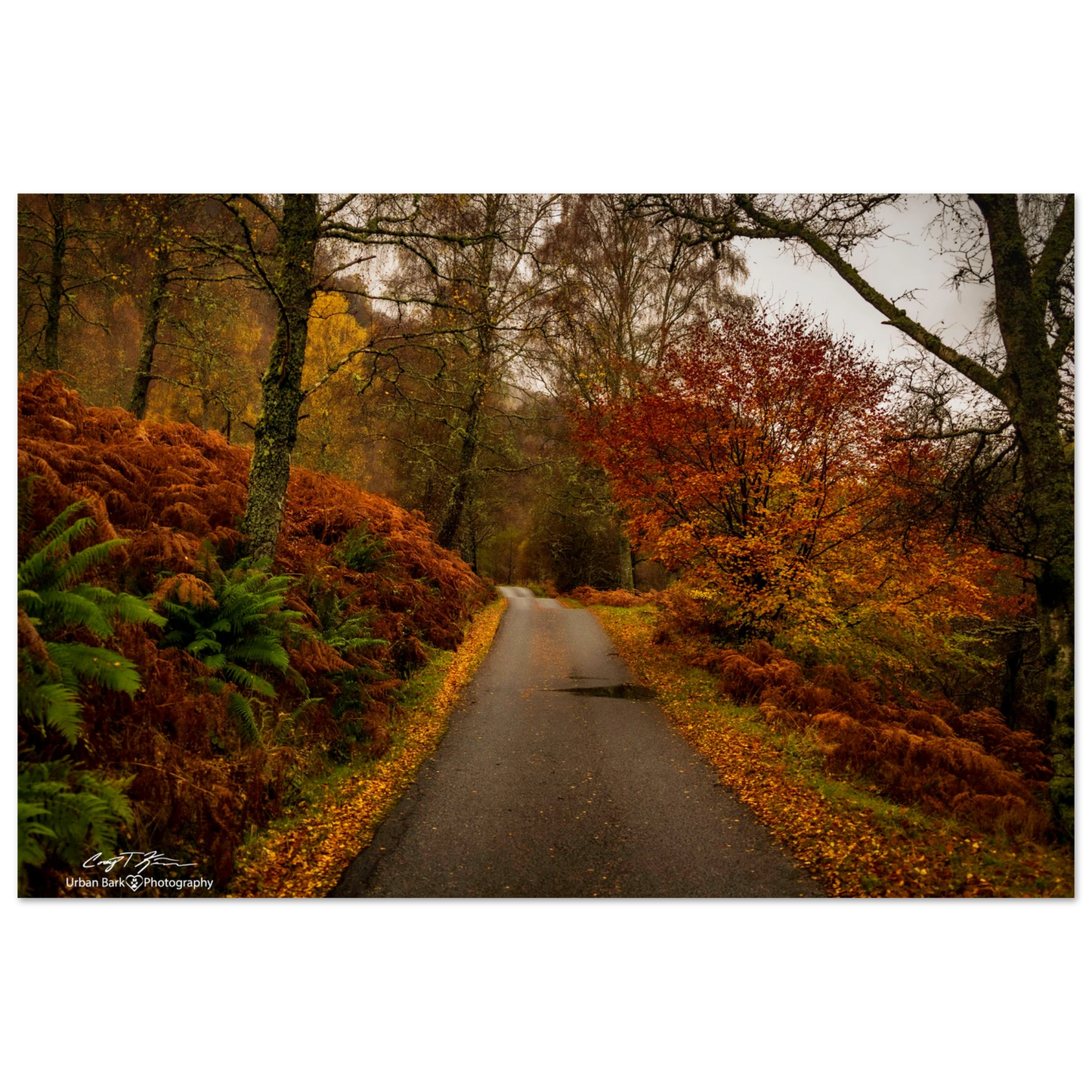 d1f22d46-6f5b-4004-a5f0-767d59ab7842