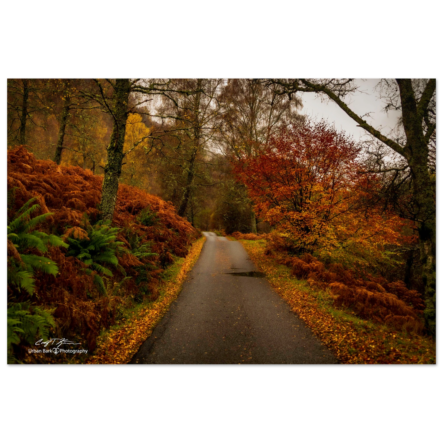 d7812b97-cc80-4ed3-a20a-52b8f4e9d6f0