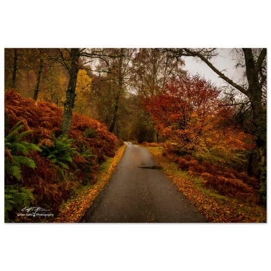 d7812b97-cc80-4ed3-a20a-52b8f4e9d6f0