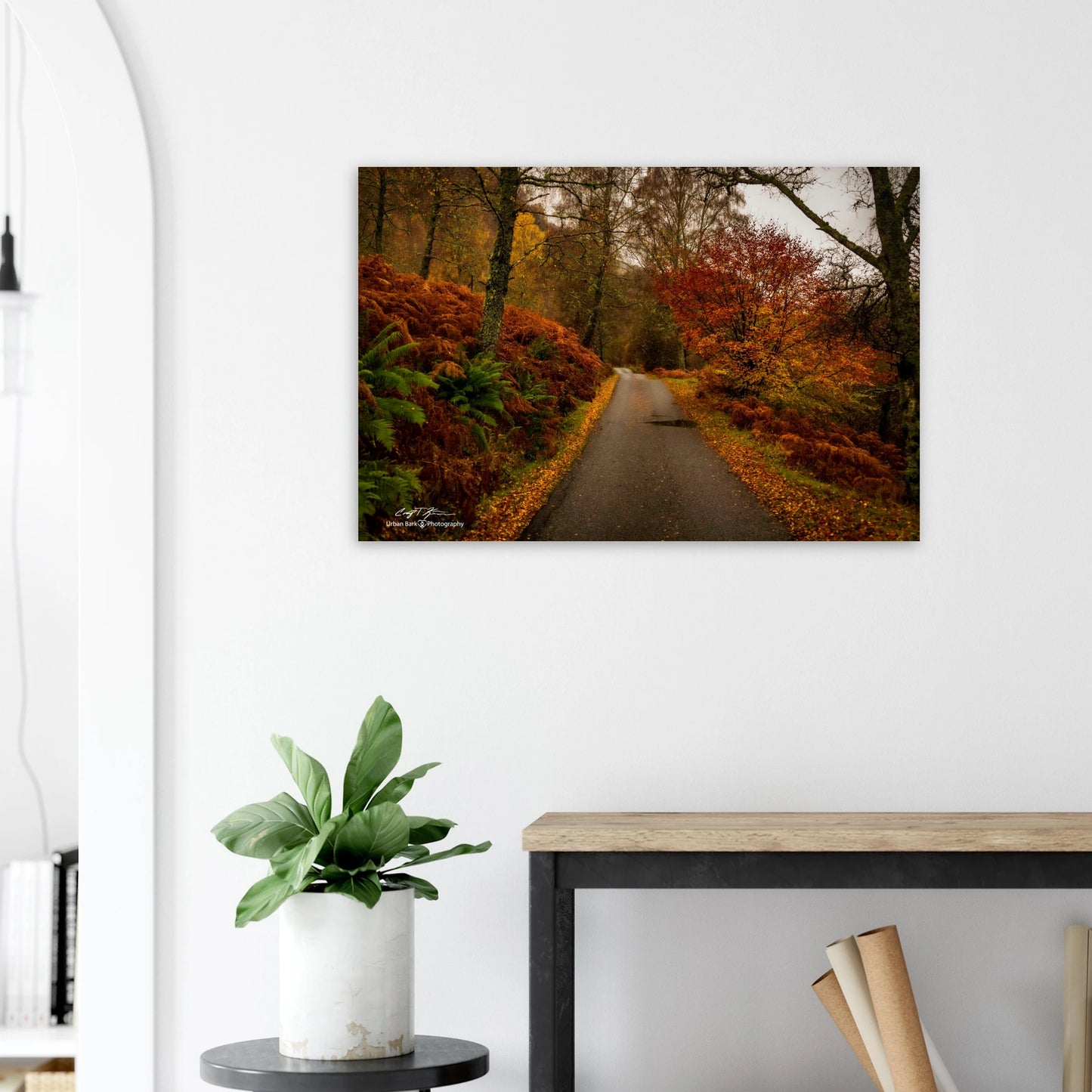 ede53012-ae03-4aa2-a23b-e0835a16be77