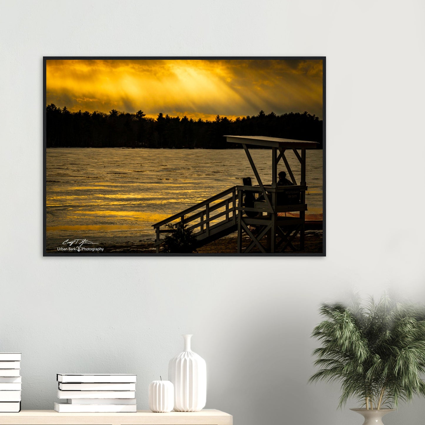 fc67f46f-242a-4212-8e82-0da968653e97