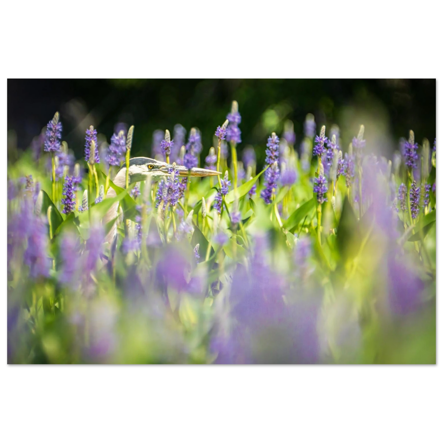 20d87ad9-b093-437b-a742-3a1b81c587cc
