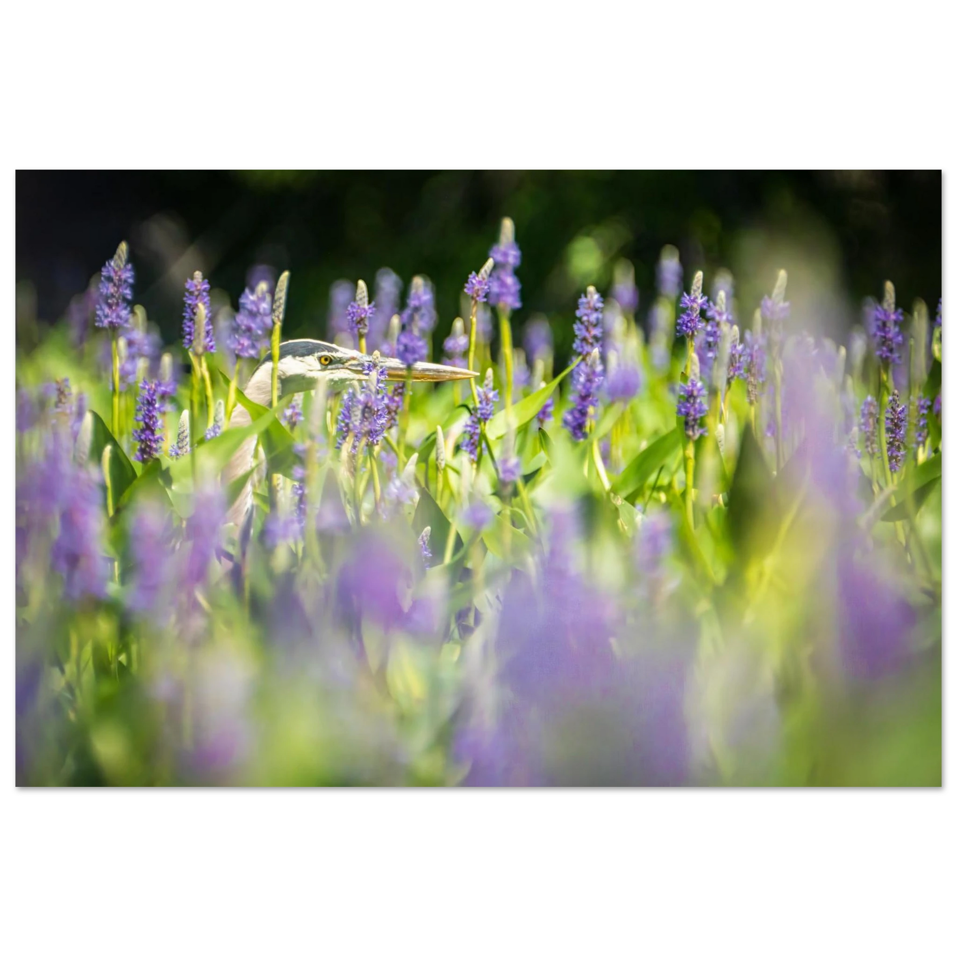 20d87ad9-b093-437b-a742-3a1b81c587cc