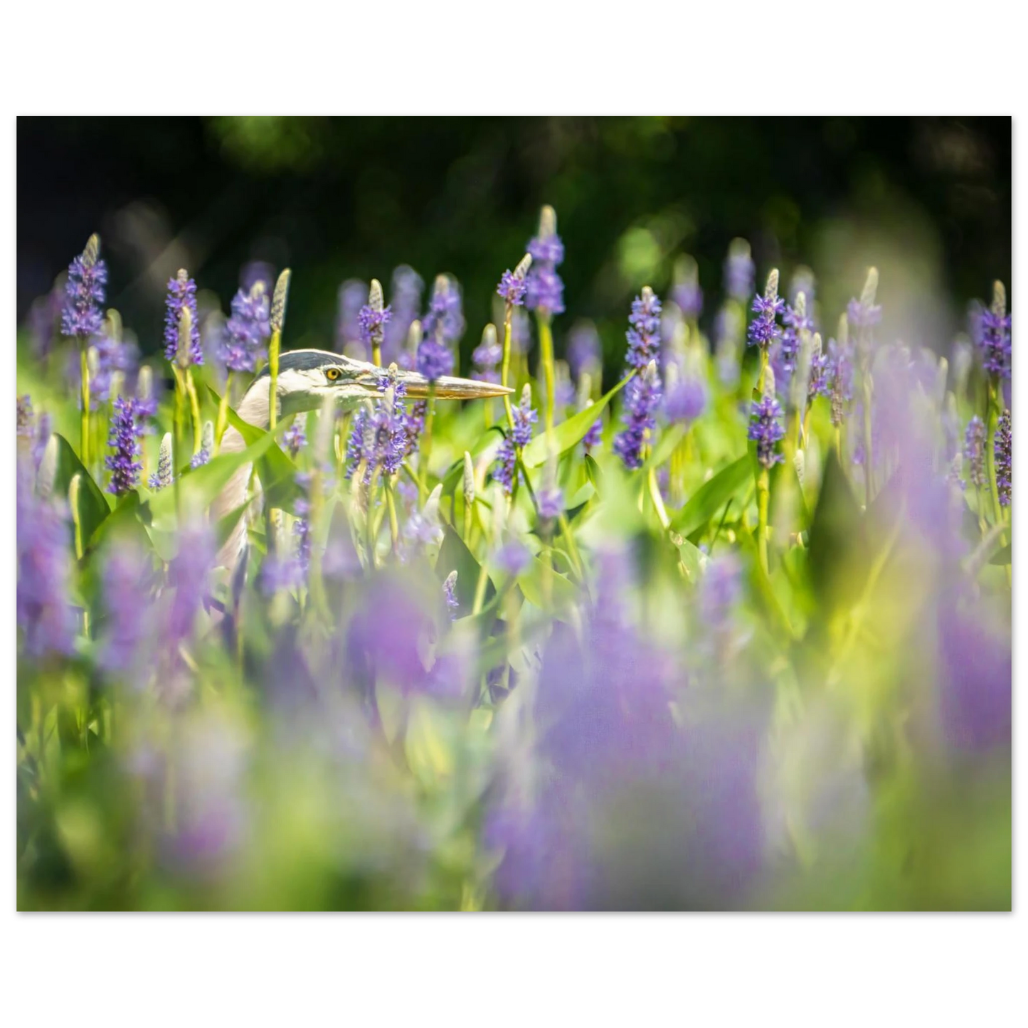 339b5606-f925-4059-813f-81234a6dacf2