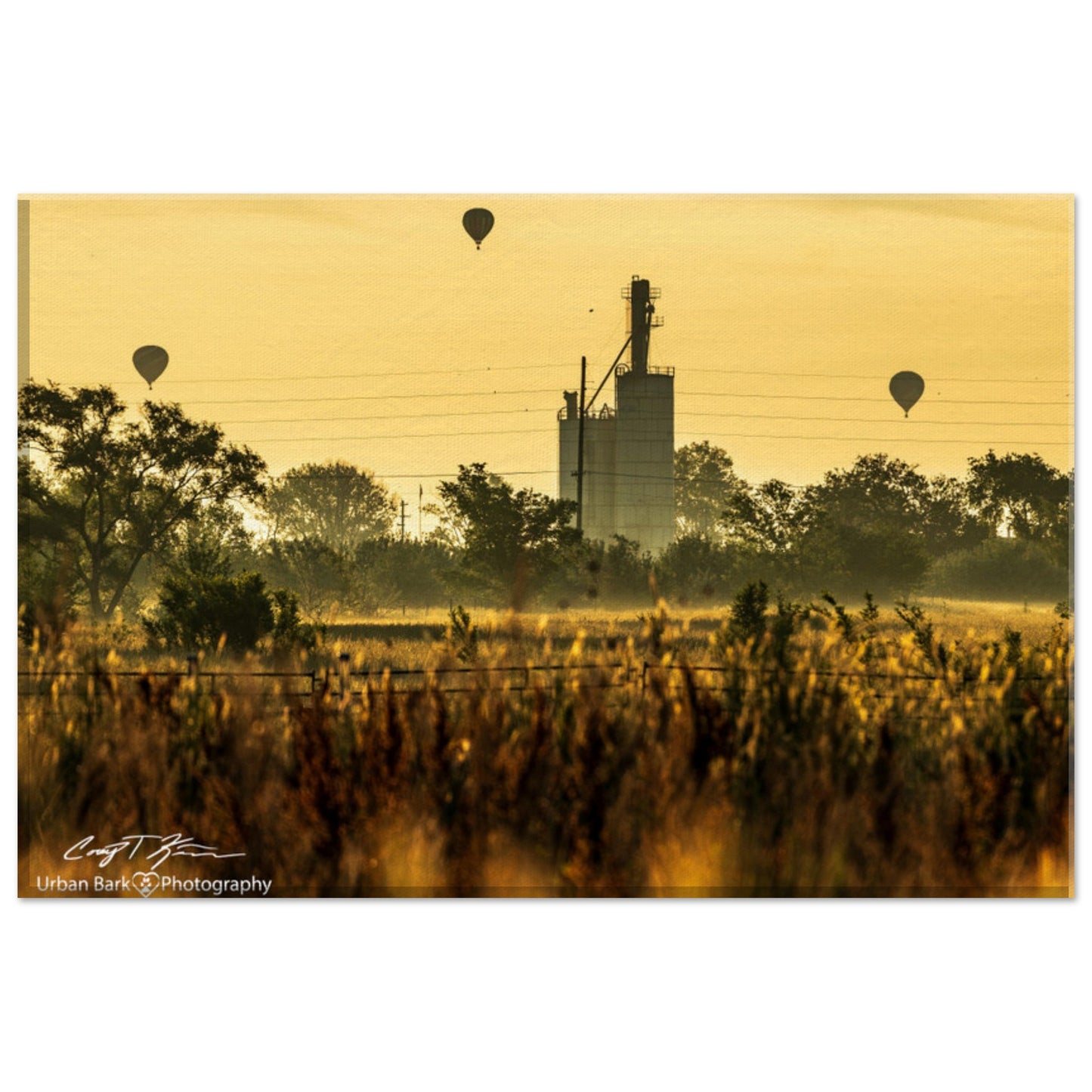 Balloon Rides at Sunrise-Canvas