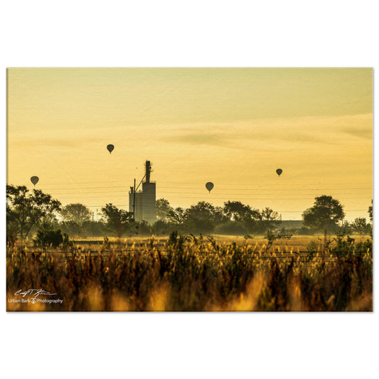 Balloon Rides at Sunrise-Canvas