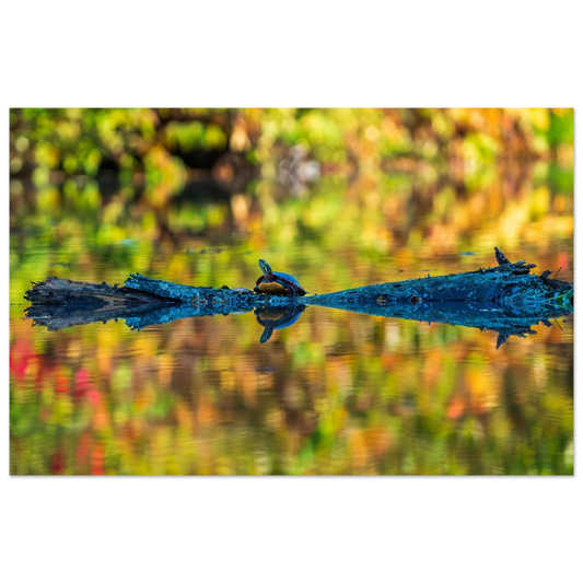 4d96d9d8-83c7-4afd-a59d-c143e5a68f5e