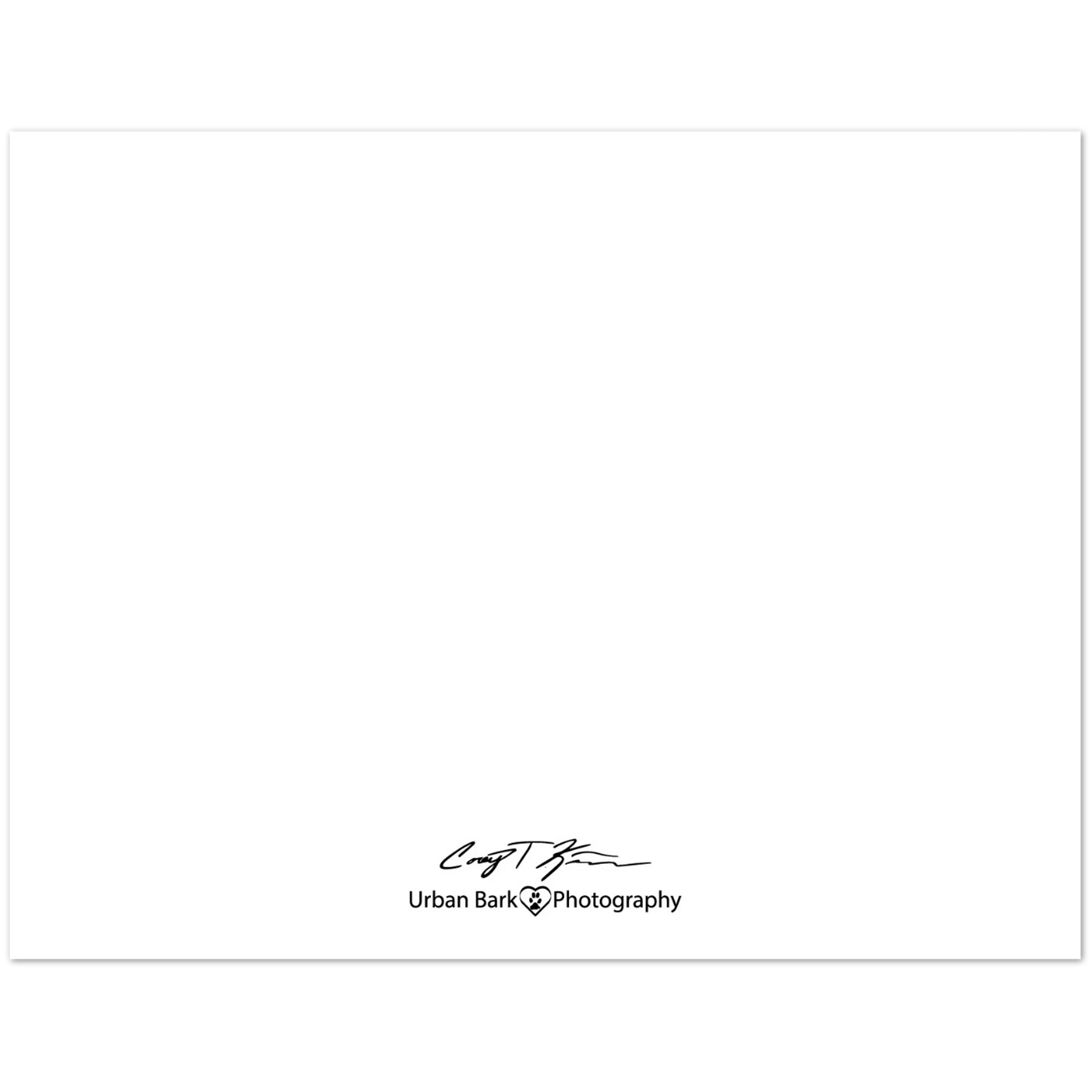 6db0296a-4407-49f2-8716-376745e856b2