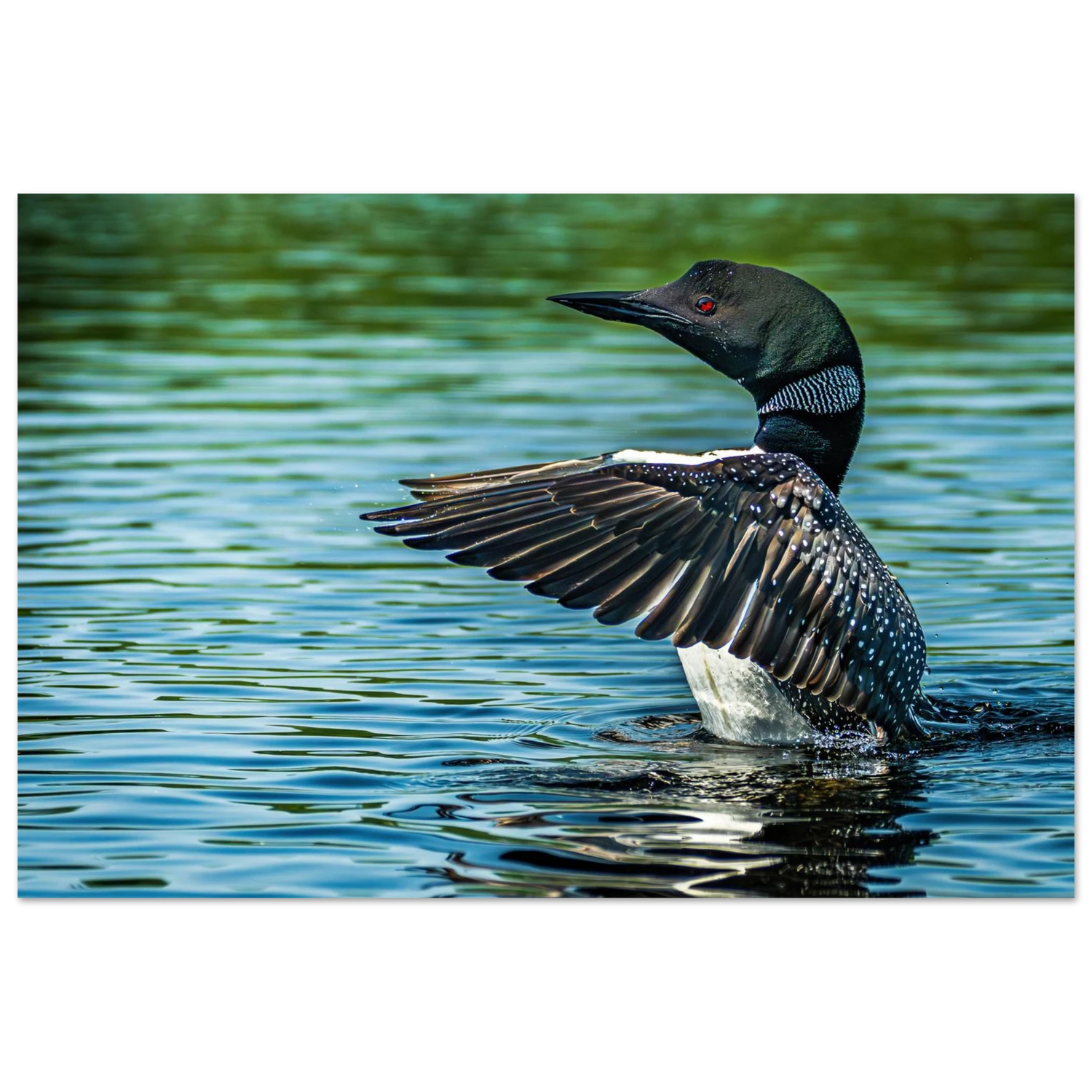 845e292c-3877-4fc5-b8fc-b38adffbae25