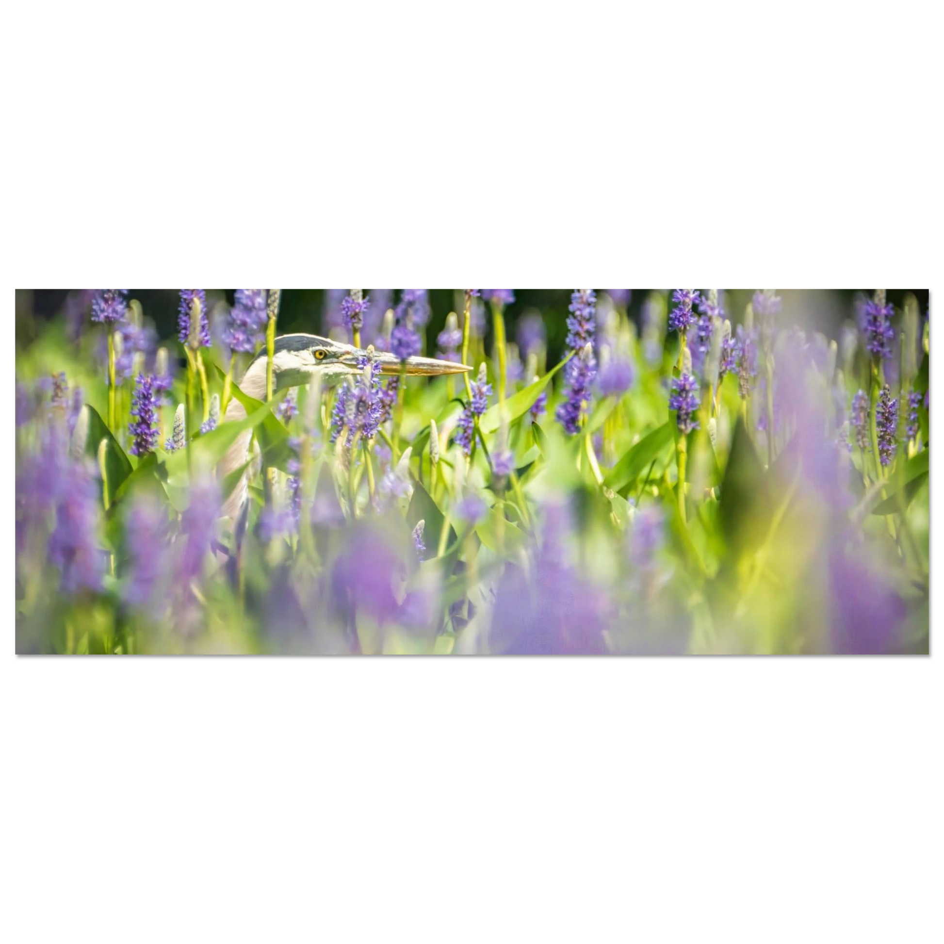 a780bca3-61f7-4039-909f-0a4217401239