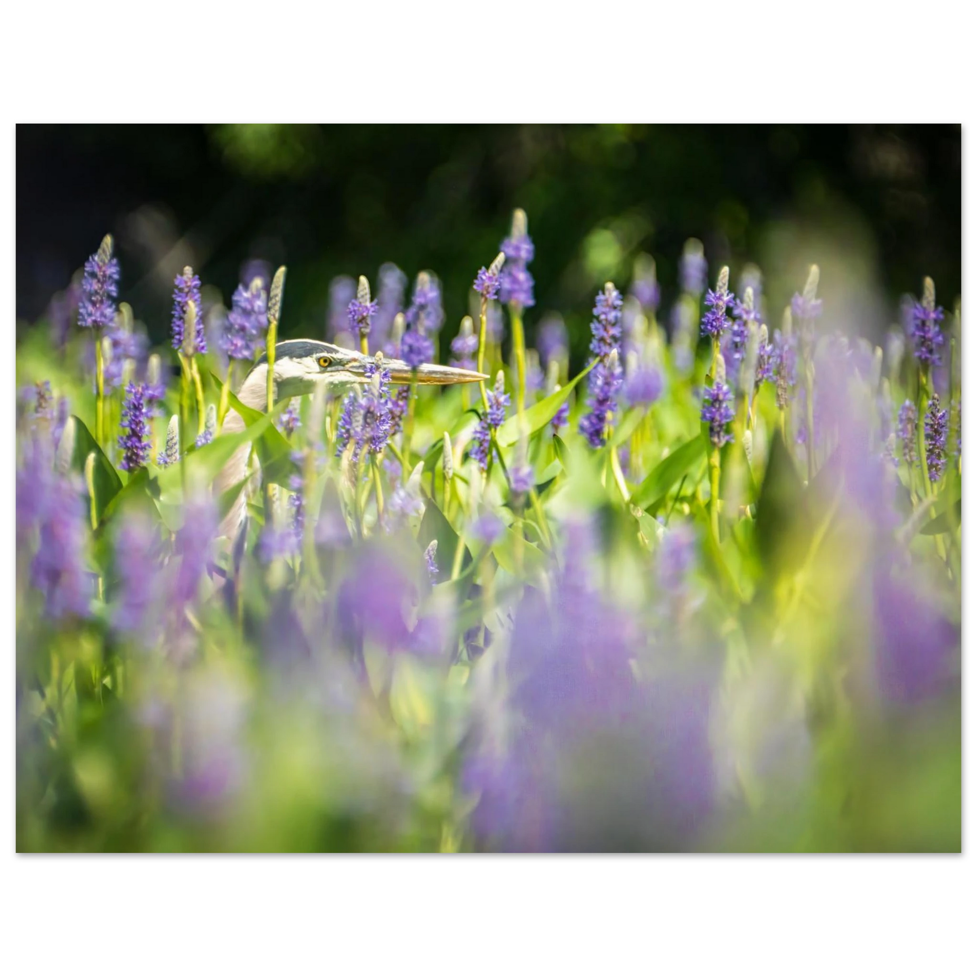 c0137007-a997-4e69-90a9-479d826d5810