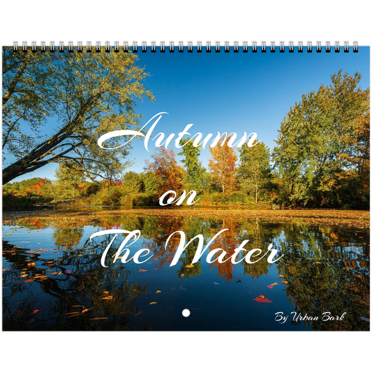 d5910988-15ef-4106-9928-3c123fffbecb