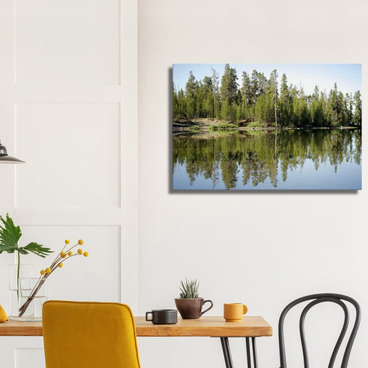 Forest Reflections-Canvas