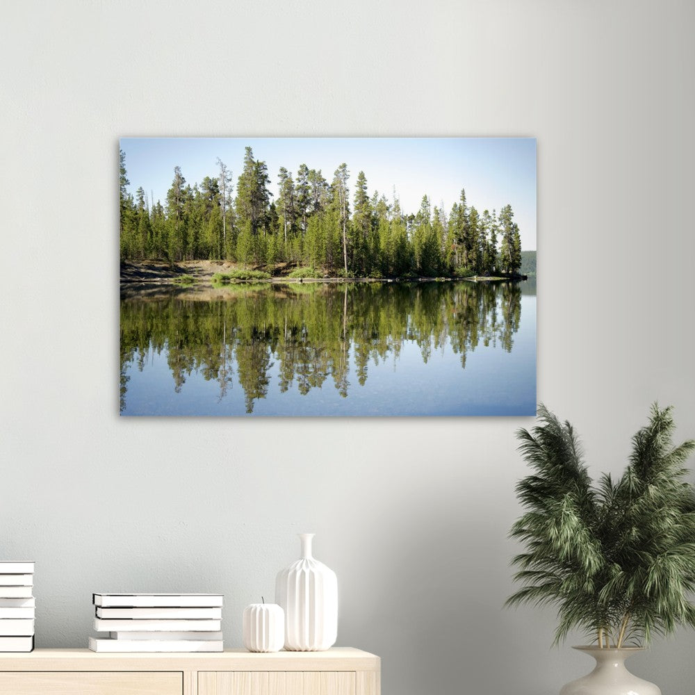 Forest Reflections-Print