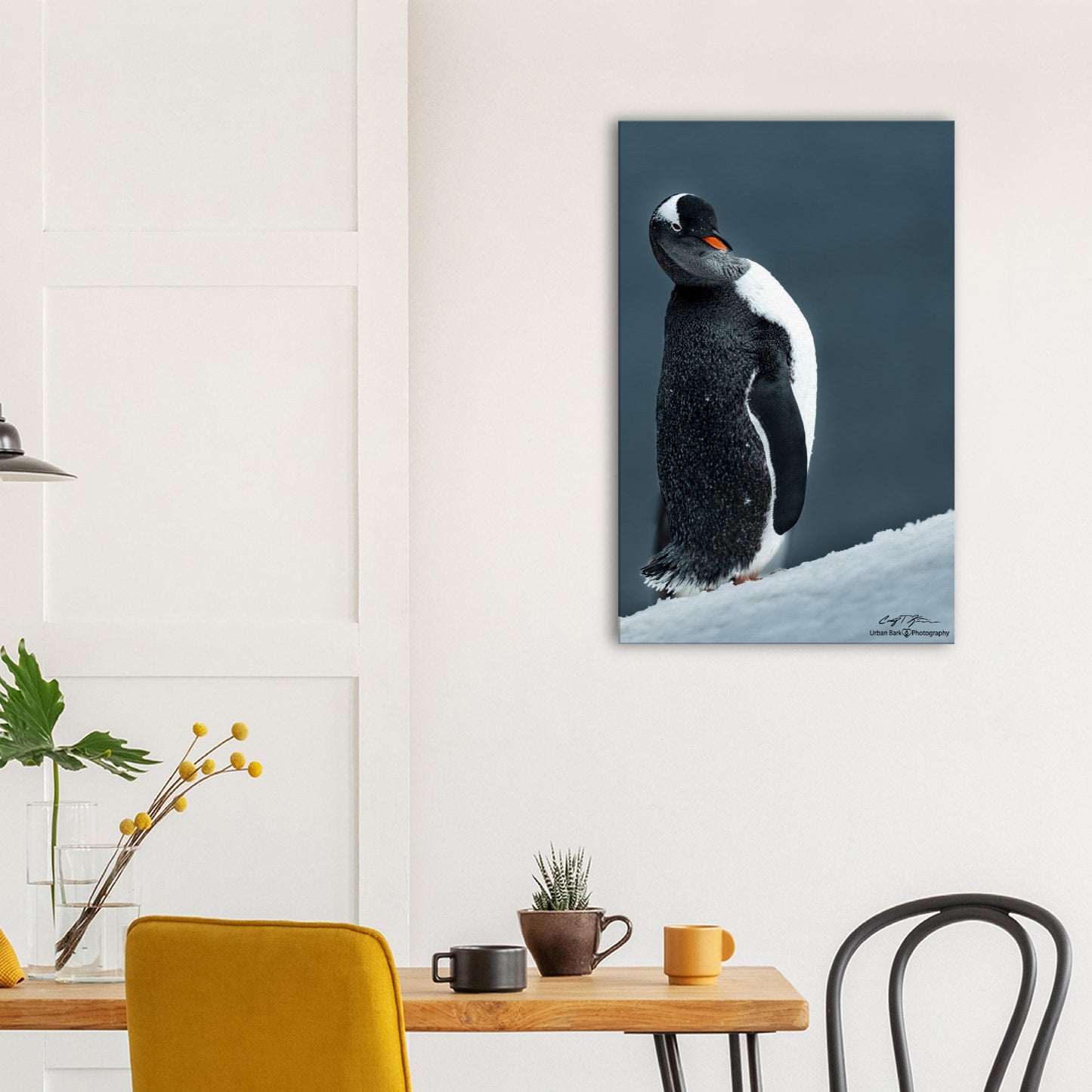 Sassy Gentoo-Canvas