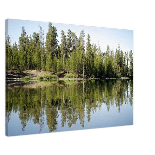 Forest Reflections-Canvas